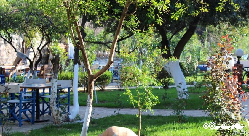 فضای سبز هتل بلو سی گاردن